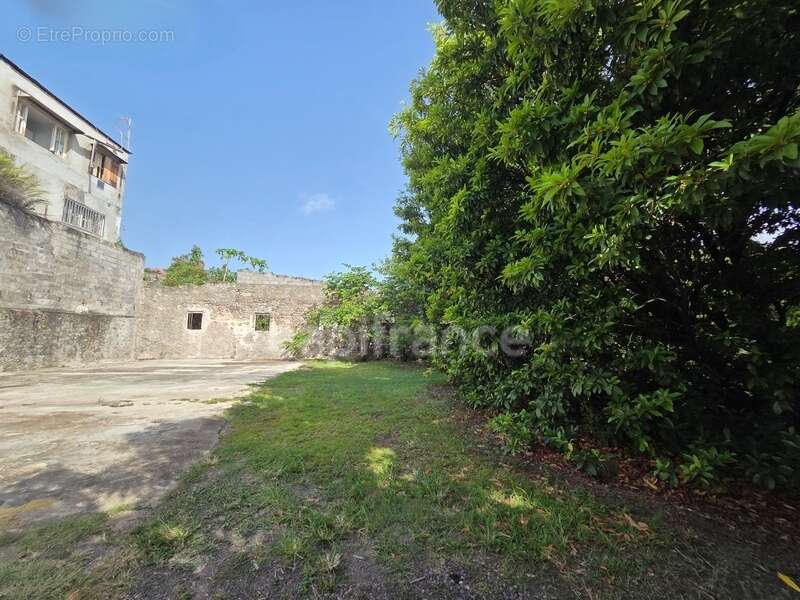 Maison à BASSE-TERRE