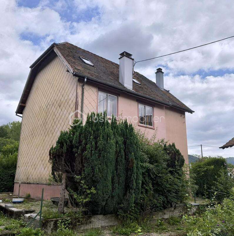 Maison à NIEDERBRUCK