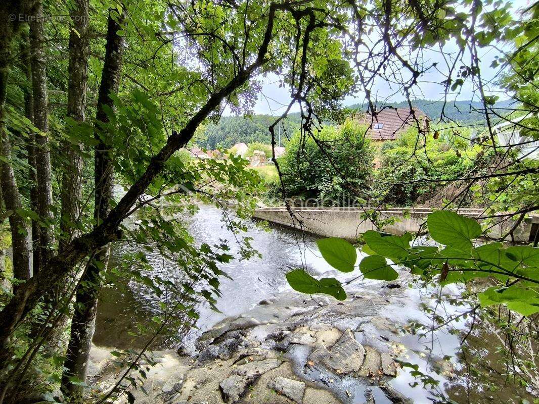 Maison à NIEDERBRUCK