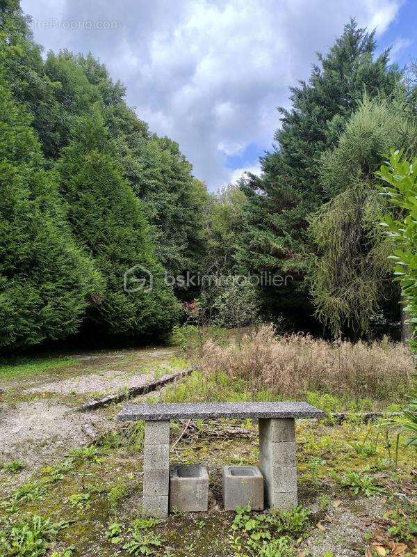 Maison à NIEDERBRUCK