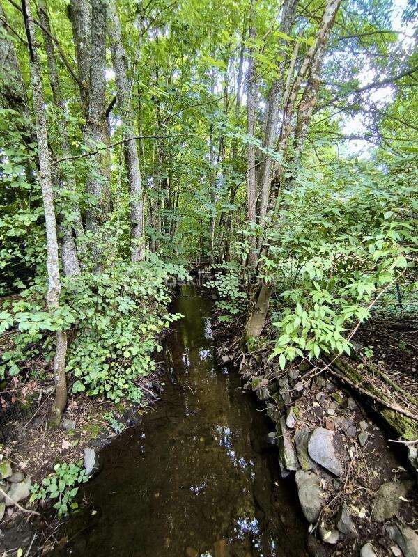 Maison à NIEDERBRUCK