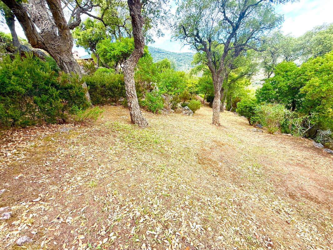 Maison à CAVALAIRE-SUR-MER