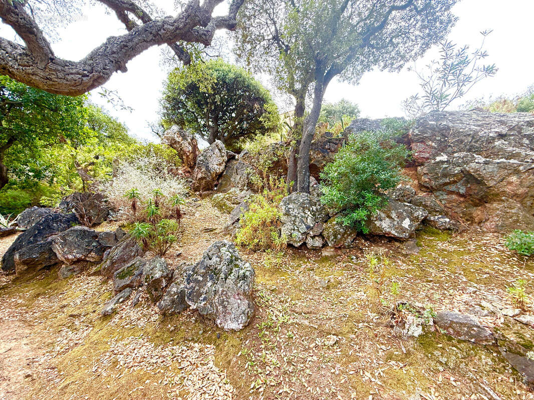 Maison à CAVALAIRE-SUR-MER