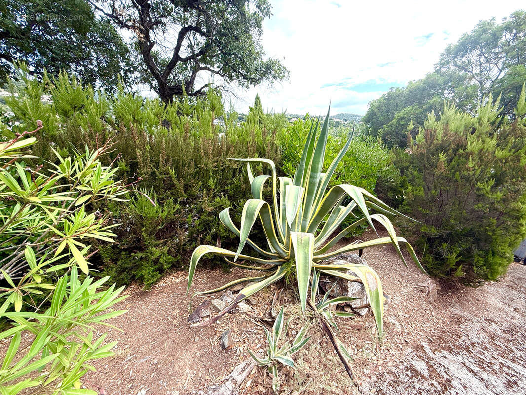 Maison à CAVALAIRE-SUR-MER