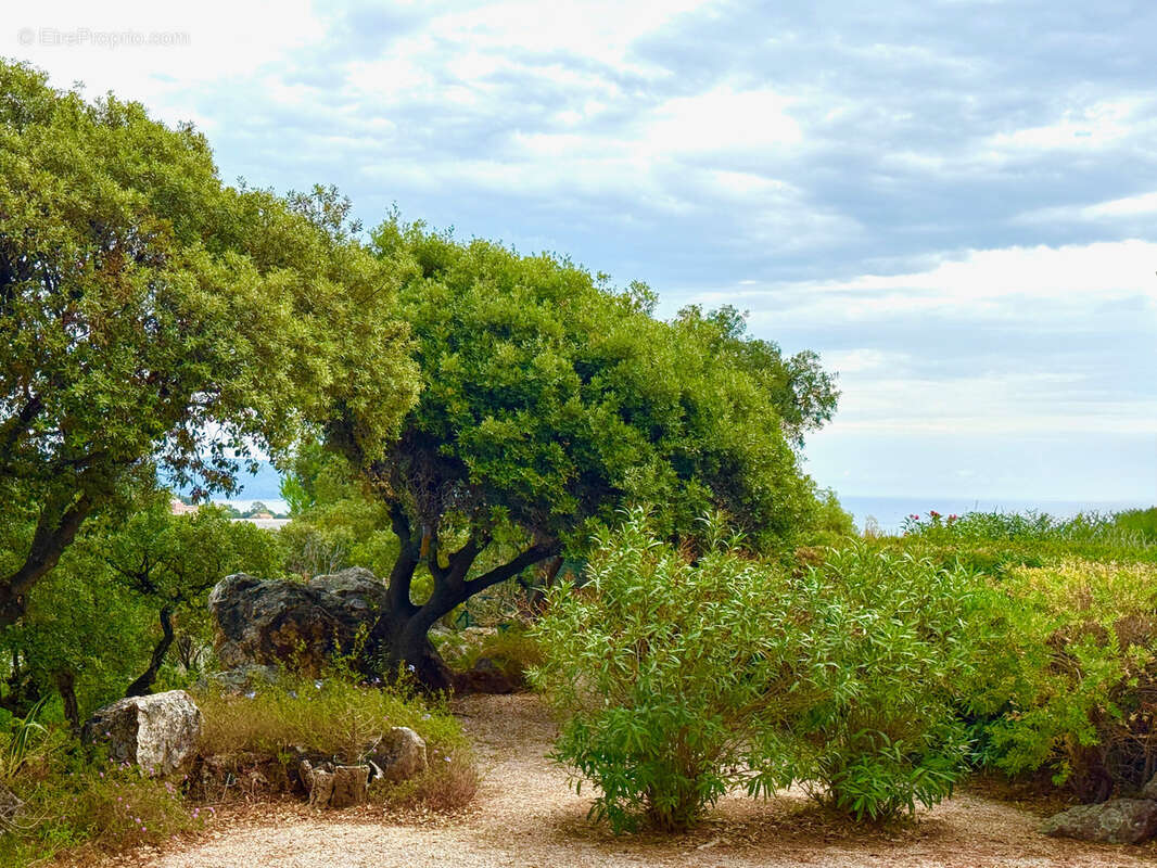 Maison à CAVALAIRE-SUR-MER