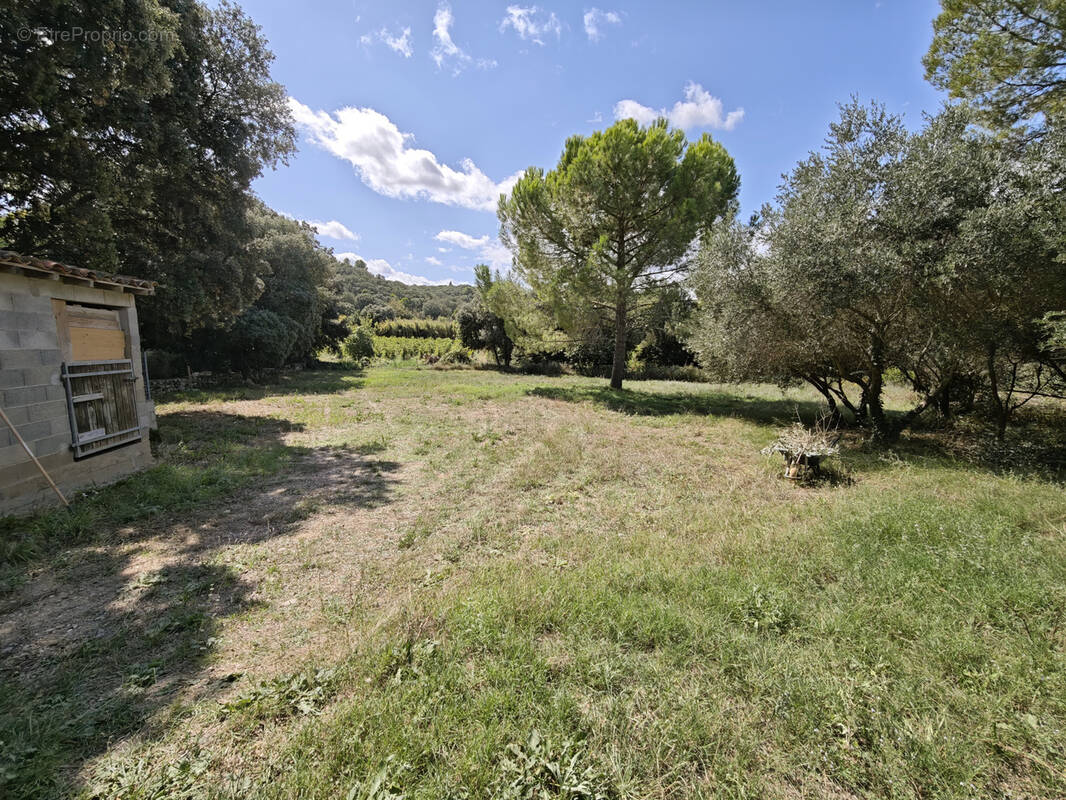 Terrain à LE POUGET