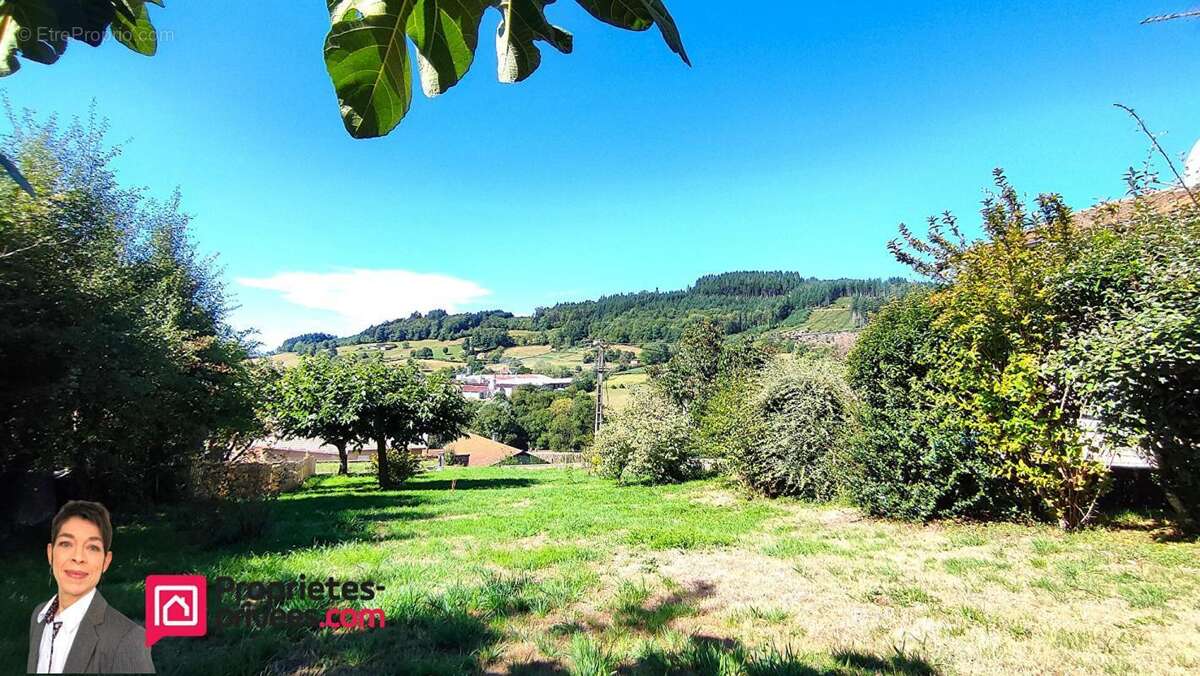 Terrain à COURS-LA-VILLE
