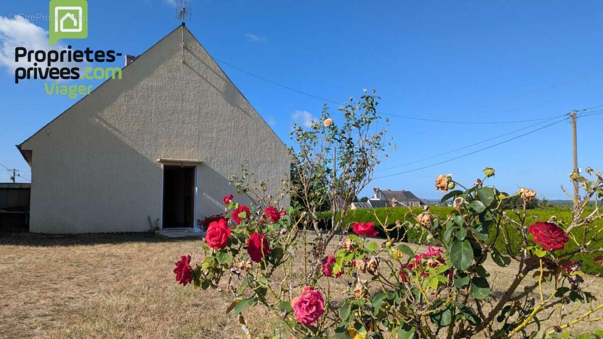 Maison à SAINT-NICOLAS-DE-BOURGUEIL