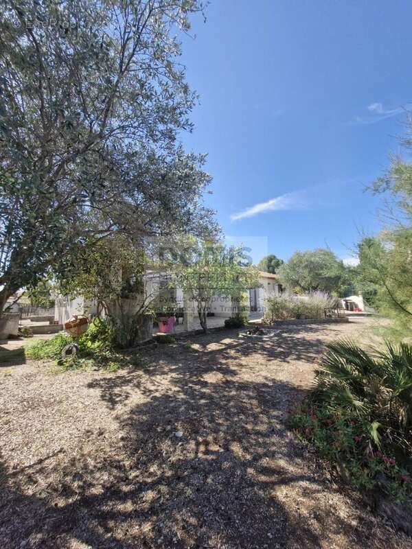 Maison à COURNONTERRAL