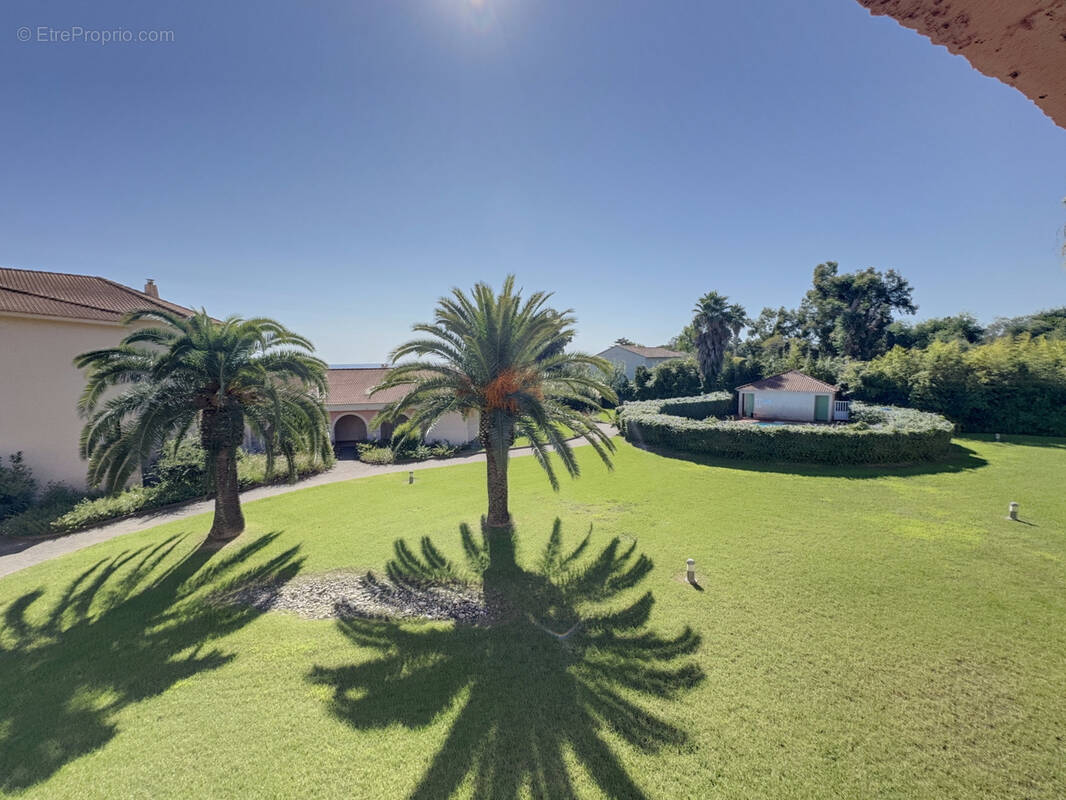 Appartement à SAN-NICOLAO