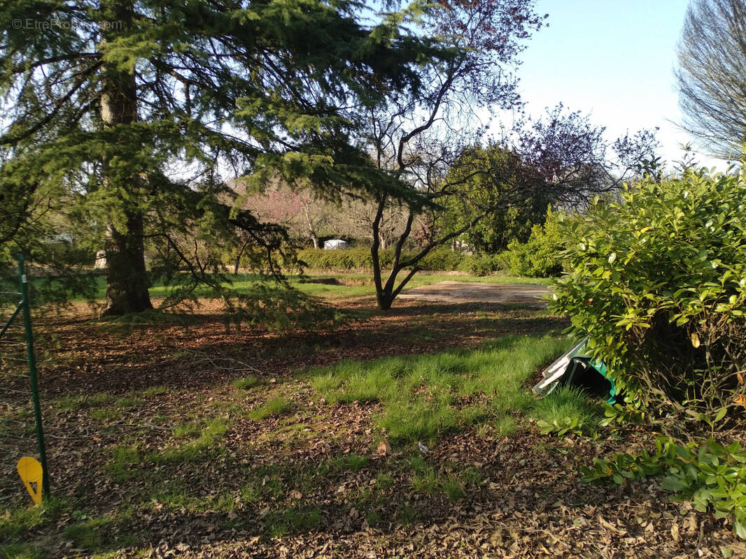 Terrain à AMBOISE