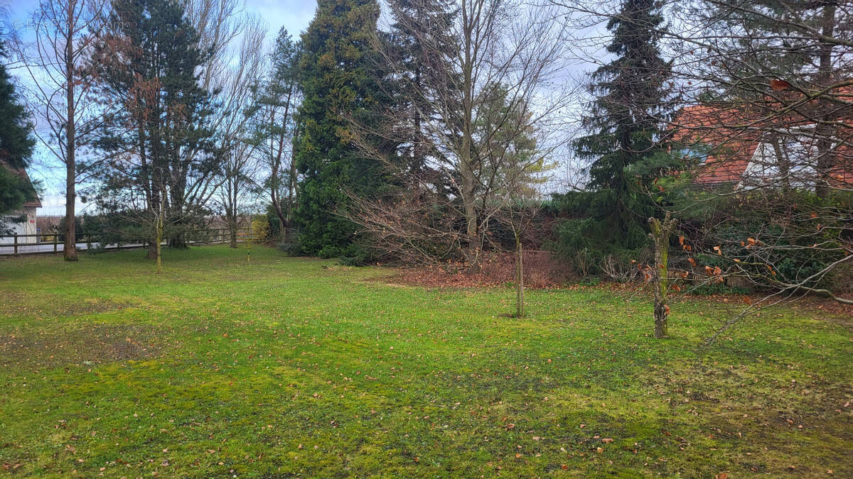 Terrain à ROTTELSHEIM