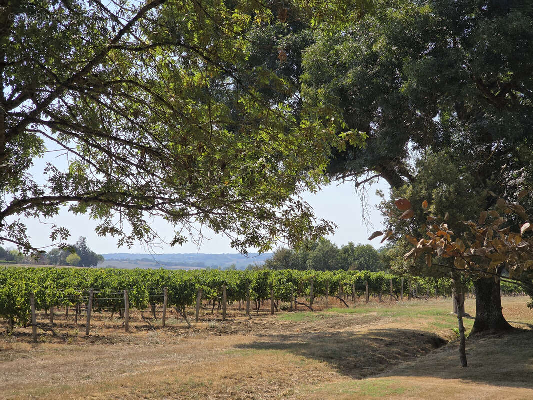 Maison à LARROQUE-SUR-L&#039;OSSE
