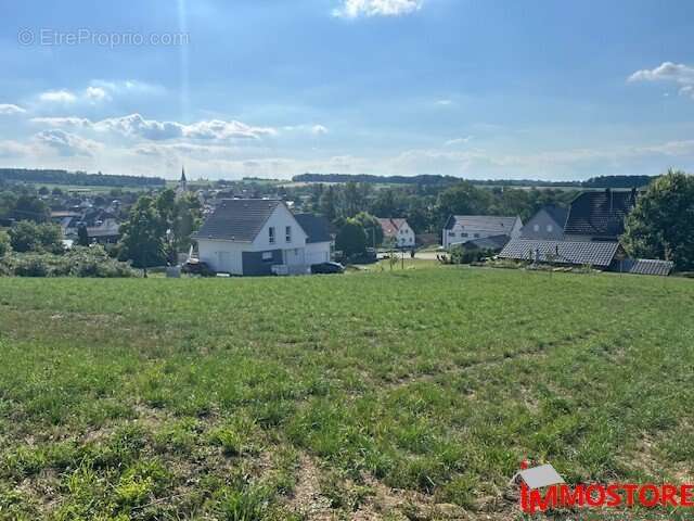 Terrain à MICHELBACH-LE-HAUT