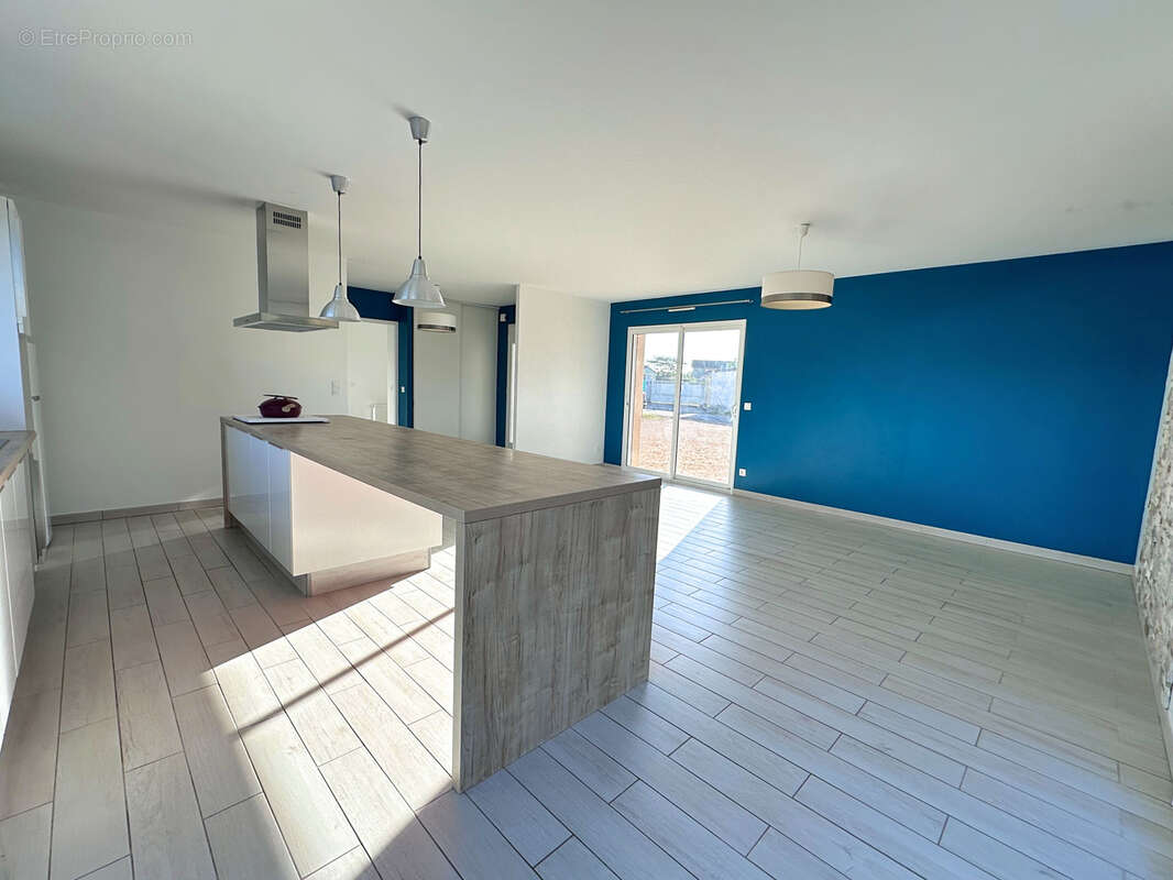 Maison à SAINT-MAURICE-DE-SATONNAY