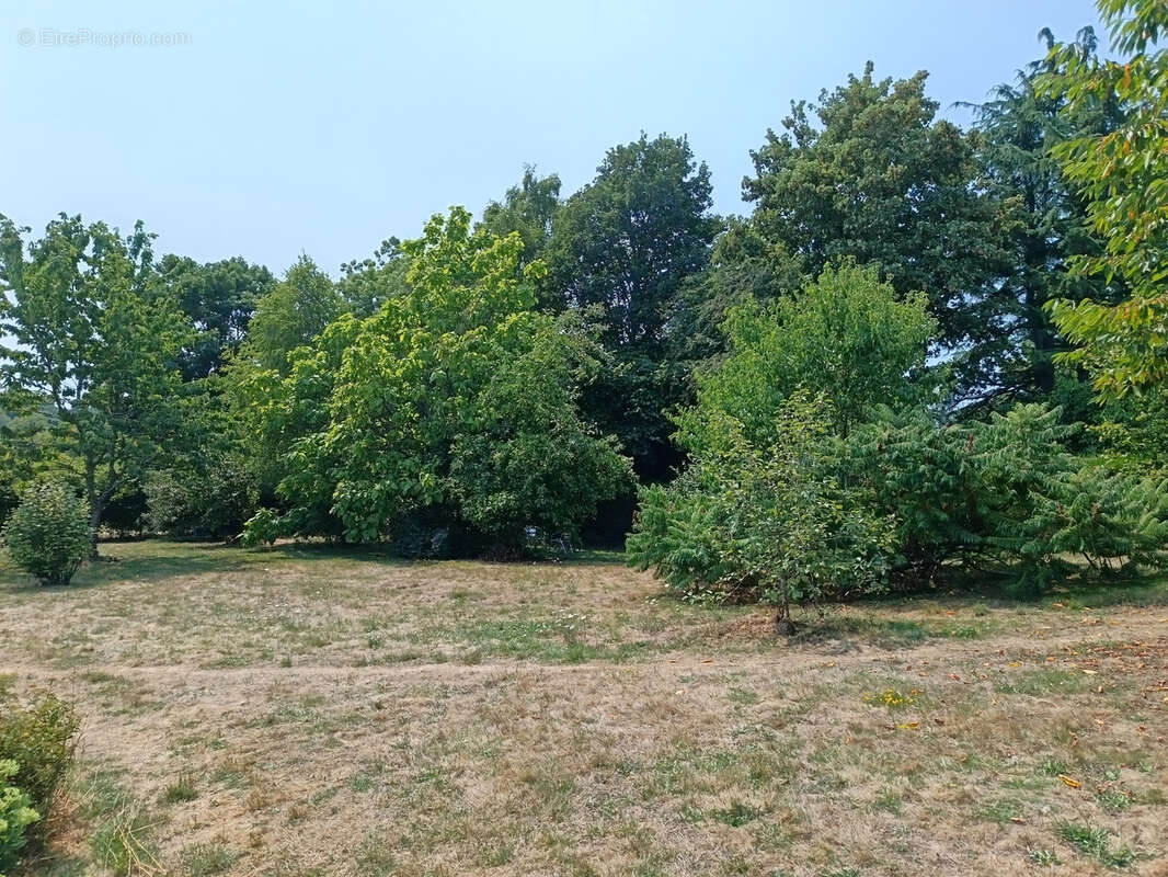 Maison à SAINT-PAUL