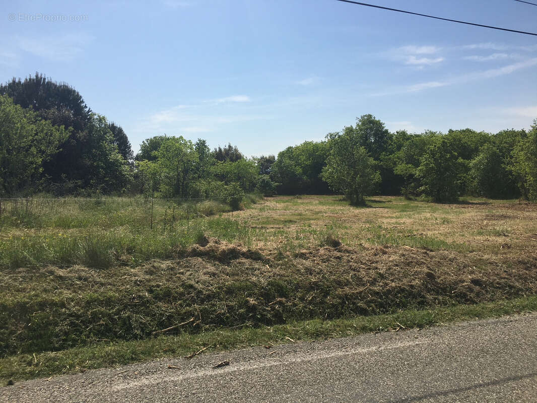 Terrain à MONTPEZAT
