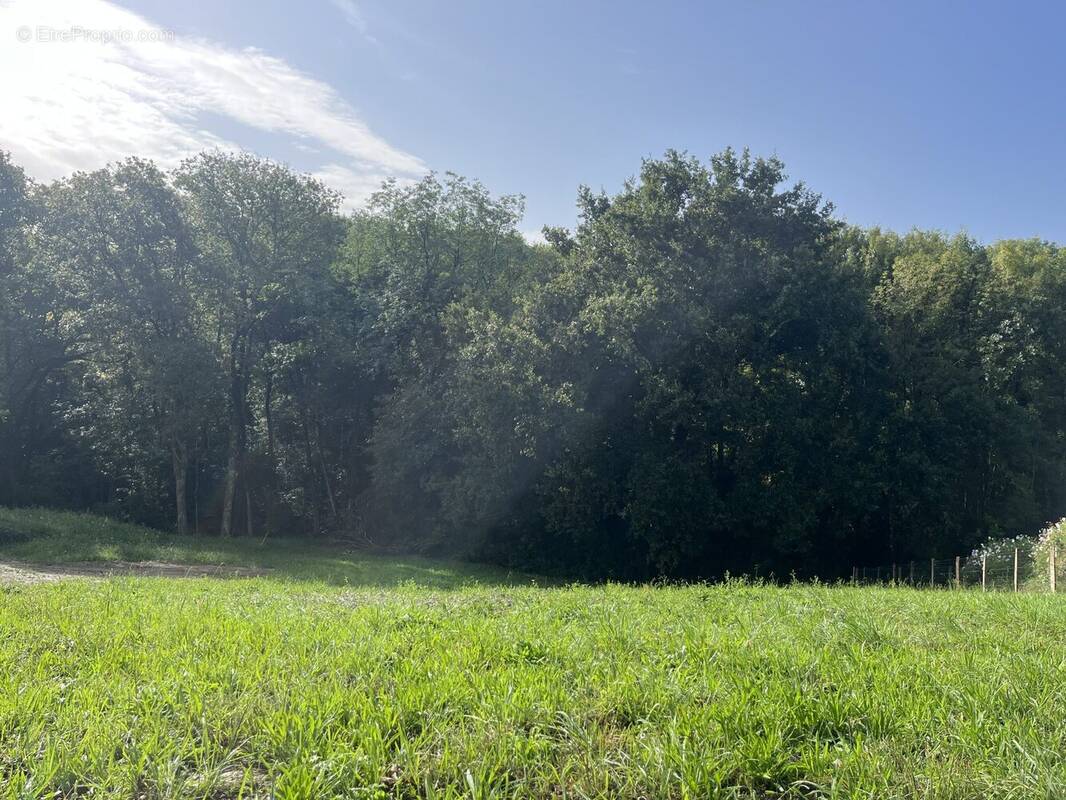 Terrain à ARCANGUES
