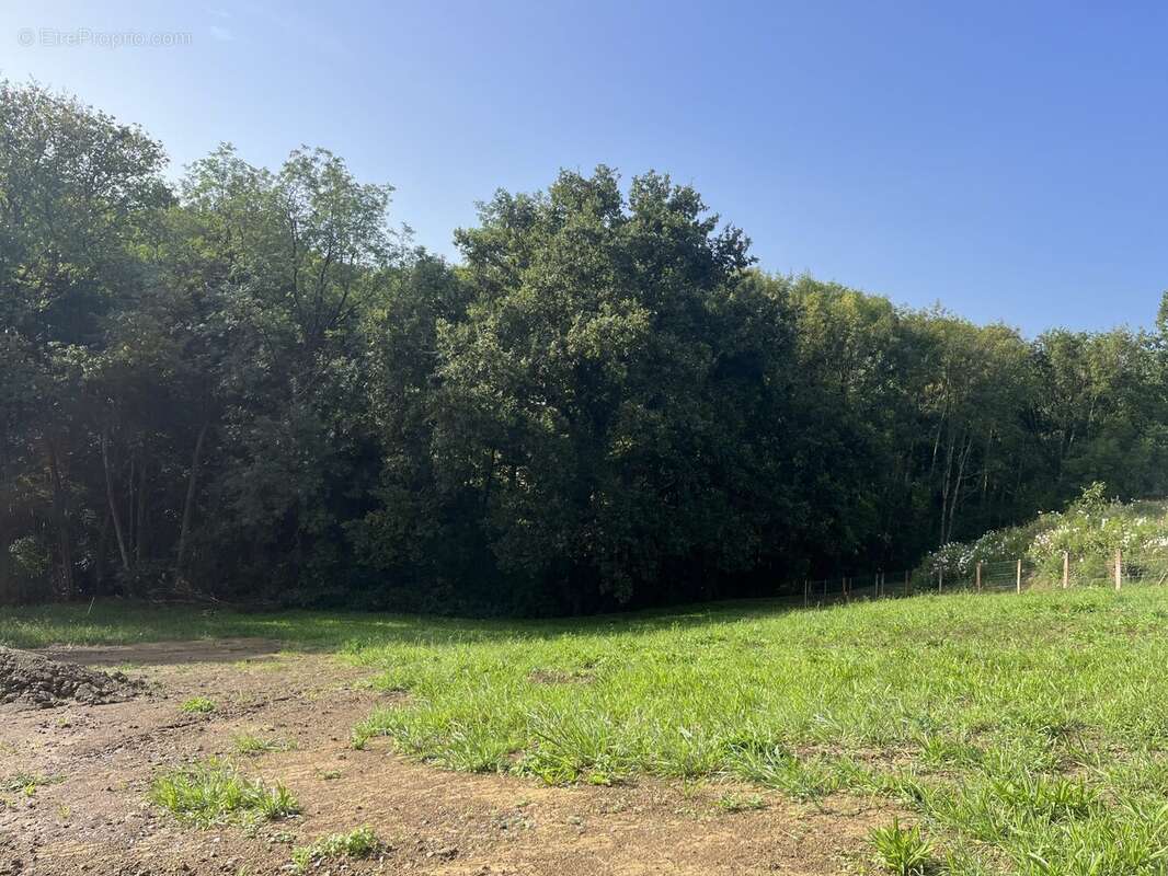 Terrain à ARCANGUES