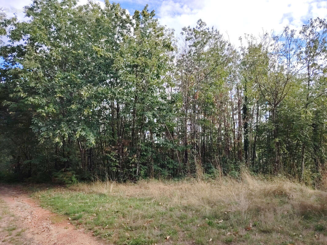 Maison à SAINT-HILAIRE-LES-PLACES