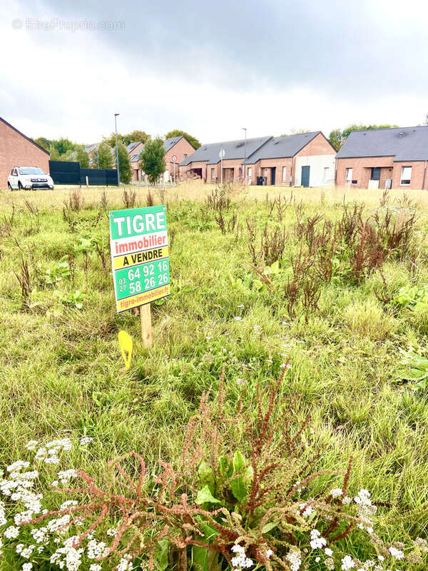 Terrain à LA LONGUEVILLE