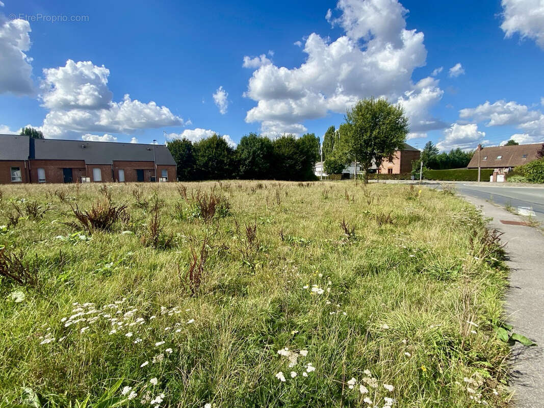 Terrain à LA LONGUEVILLE