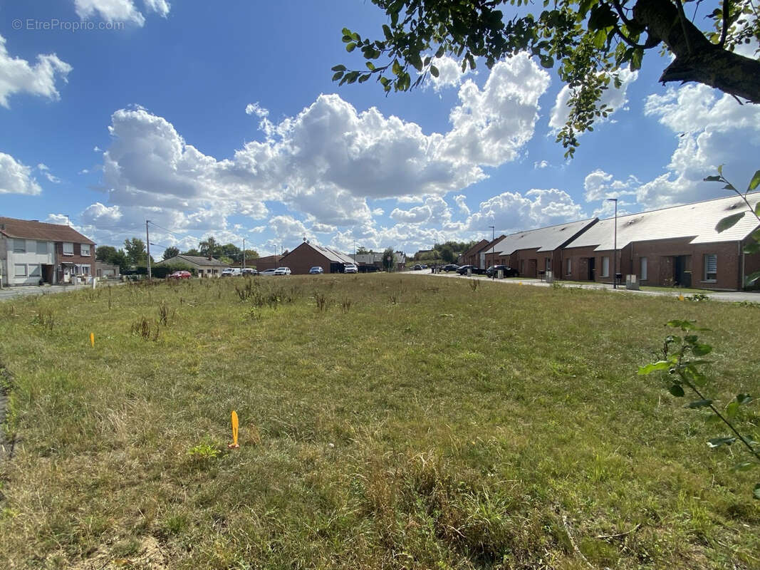 Terrain à LA LONGUEVILLE