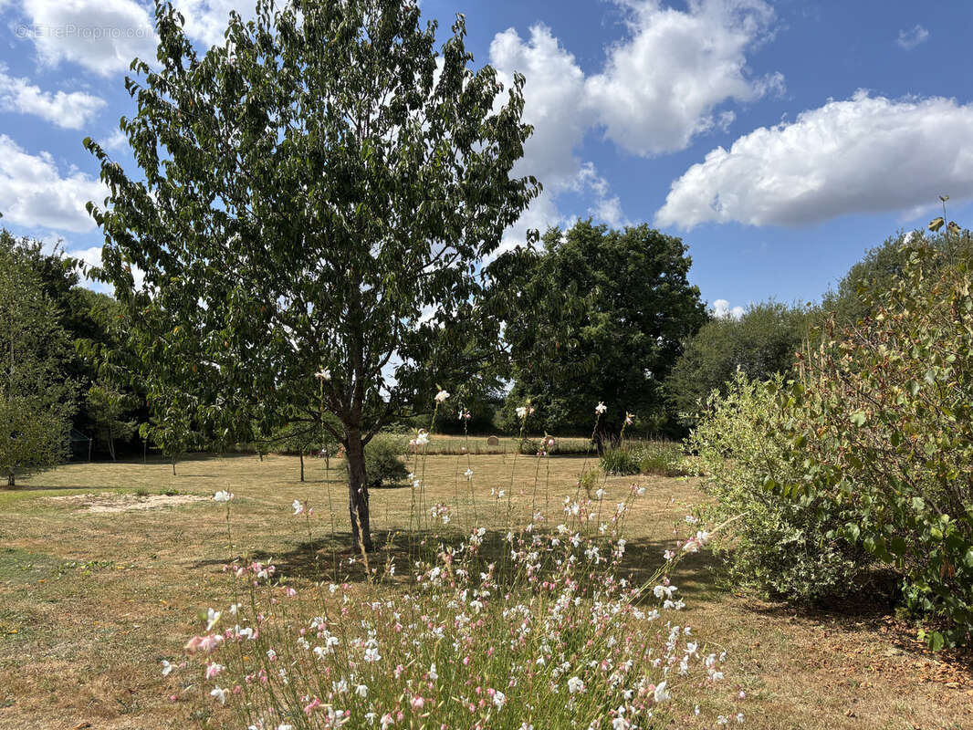 Maison à BUXIERES-LES-MINES