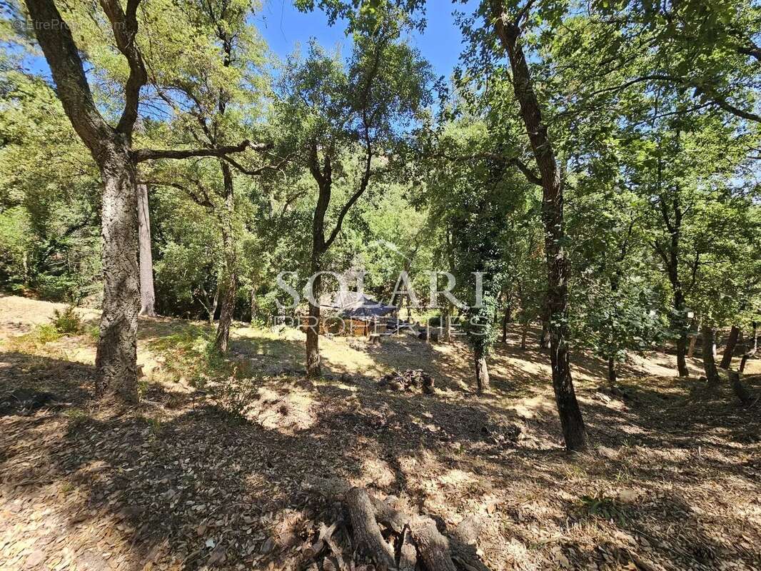 Maison à MANDELIEU-LA-NAPOULE