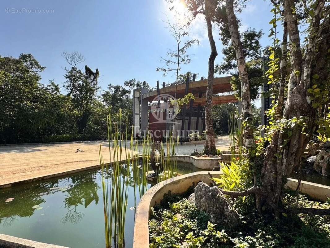 Terrain à COULOMMES