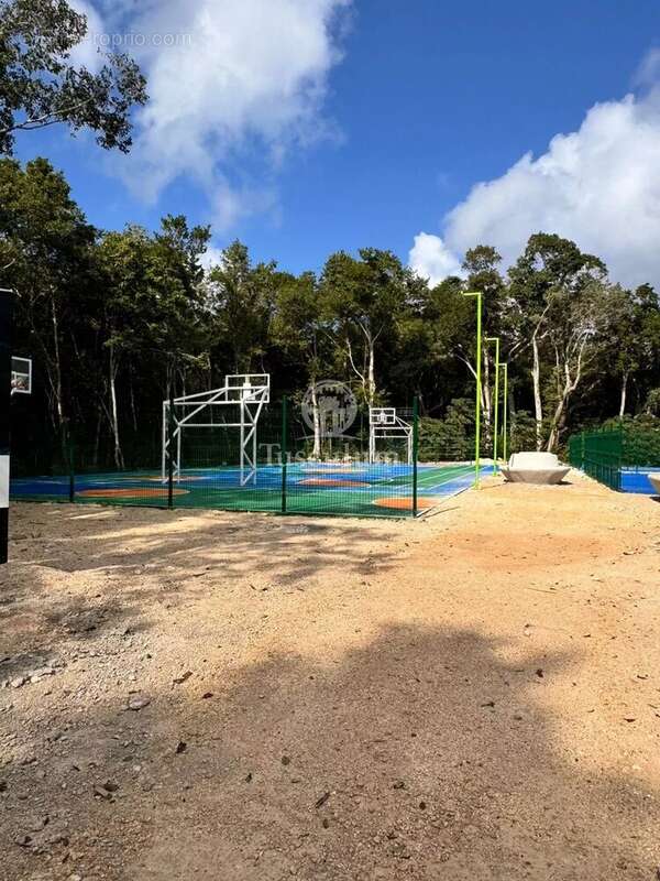 Terrain à COULOMMES