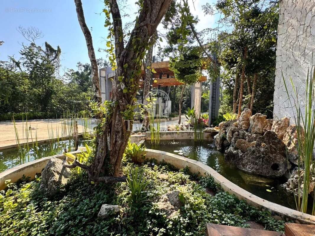 Terrain à COULOMMES