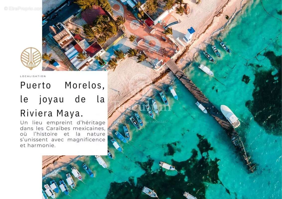 Terrain à COULOMMES