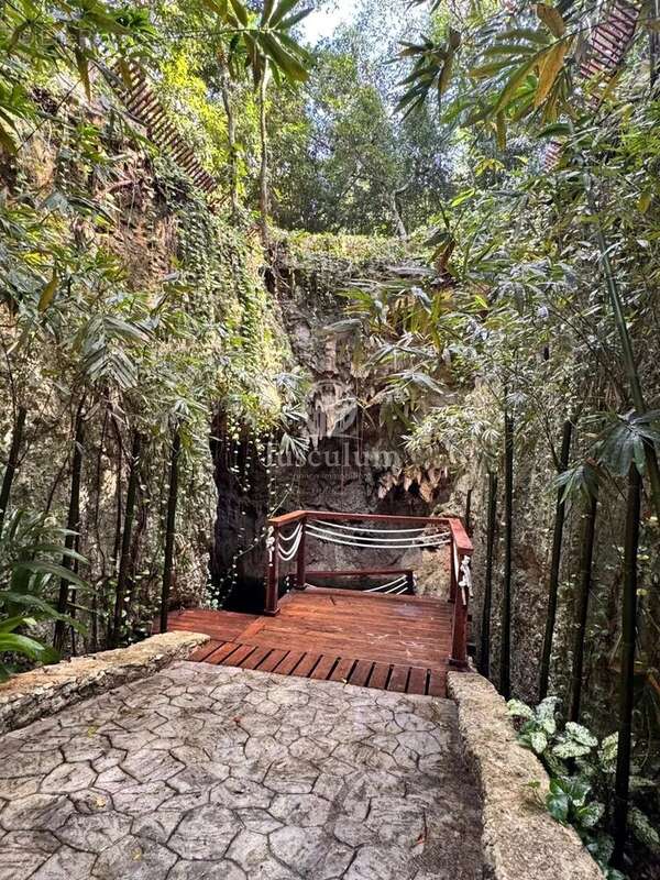 Terrain à COULOMMES