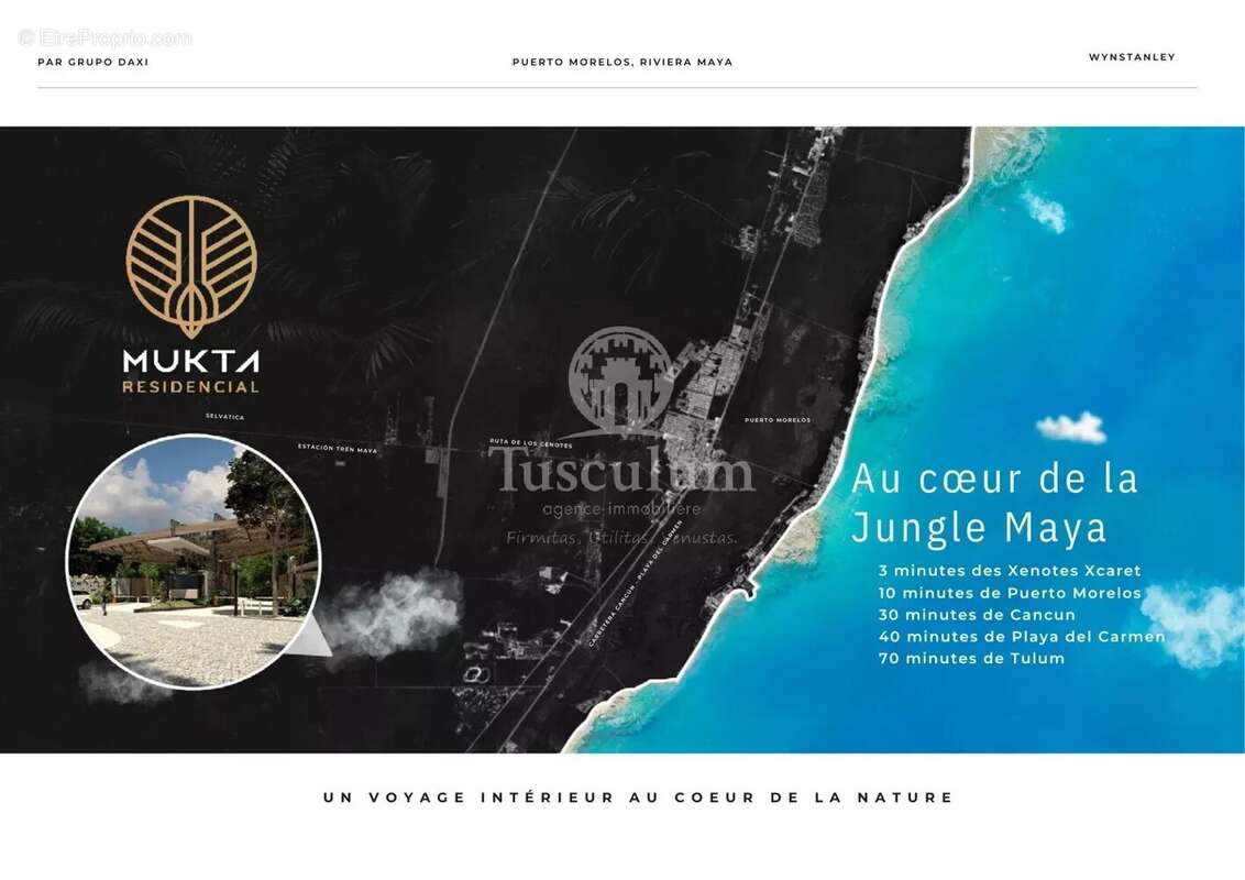 Terrain à COULOMMES