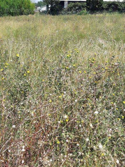 Terrain à BOURGNEUF-EN-RETZ