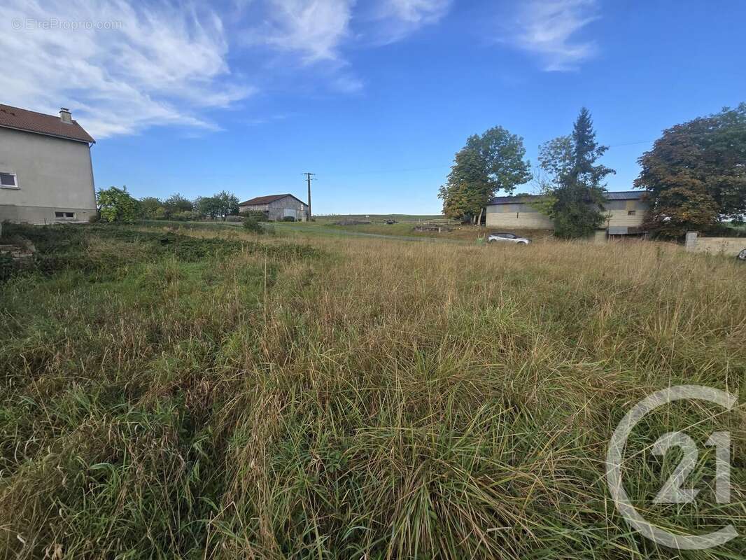 Terrain à POSSESSE