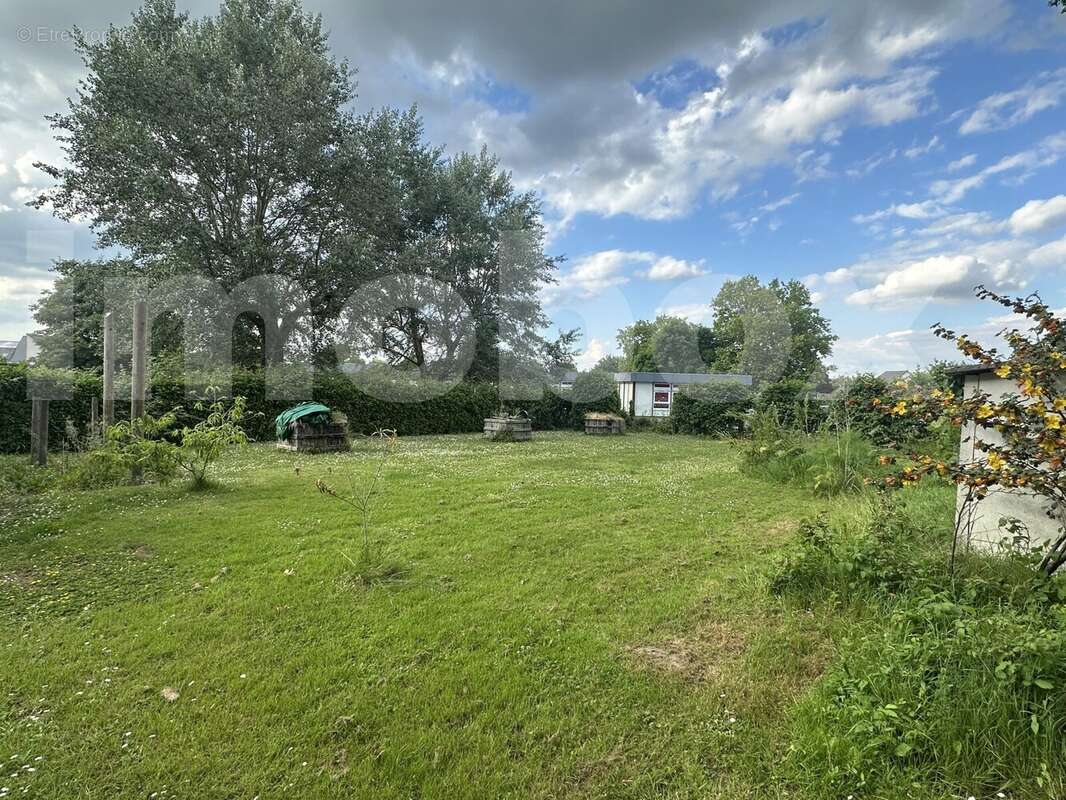 IMG_5596 - Terrain à SAINT-GEREON