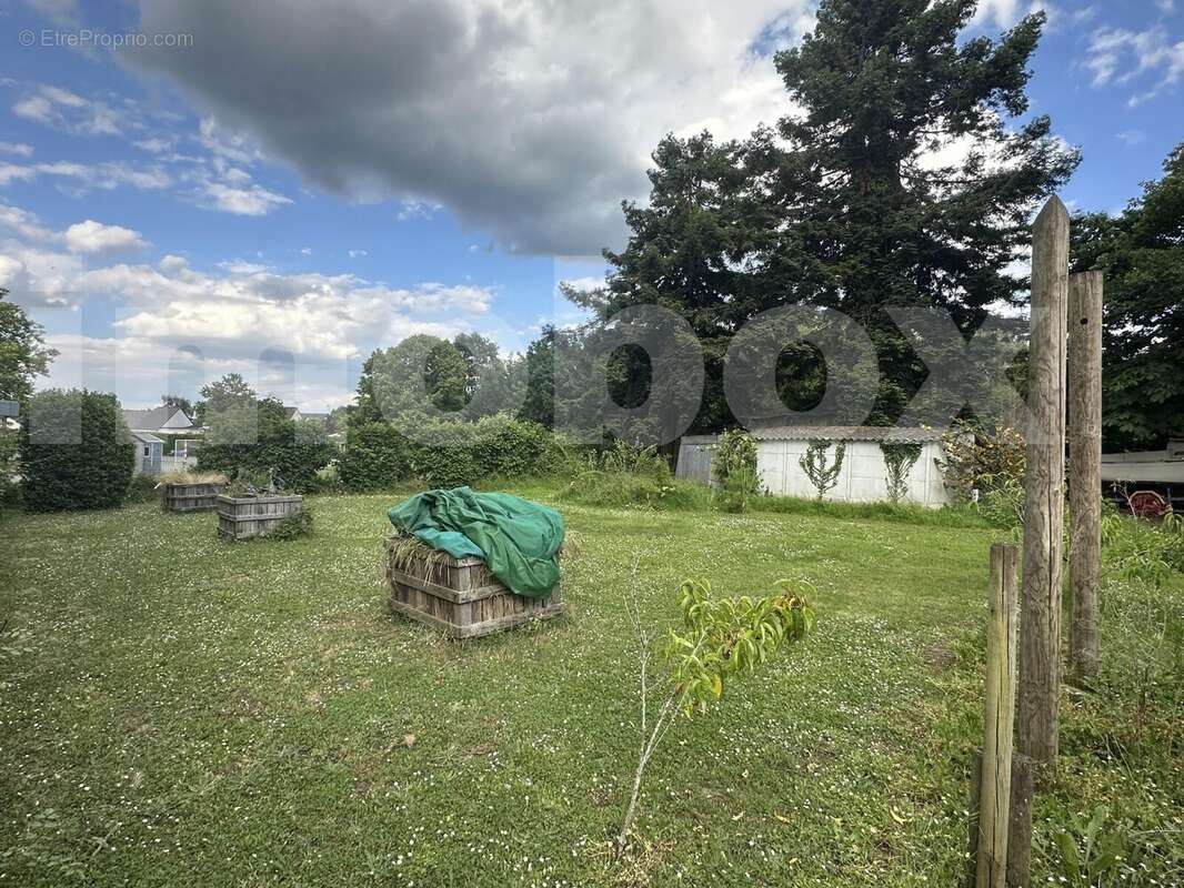 IMG_5597 - Terrain à SAINT-GEREON