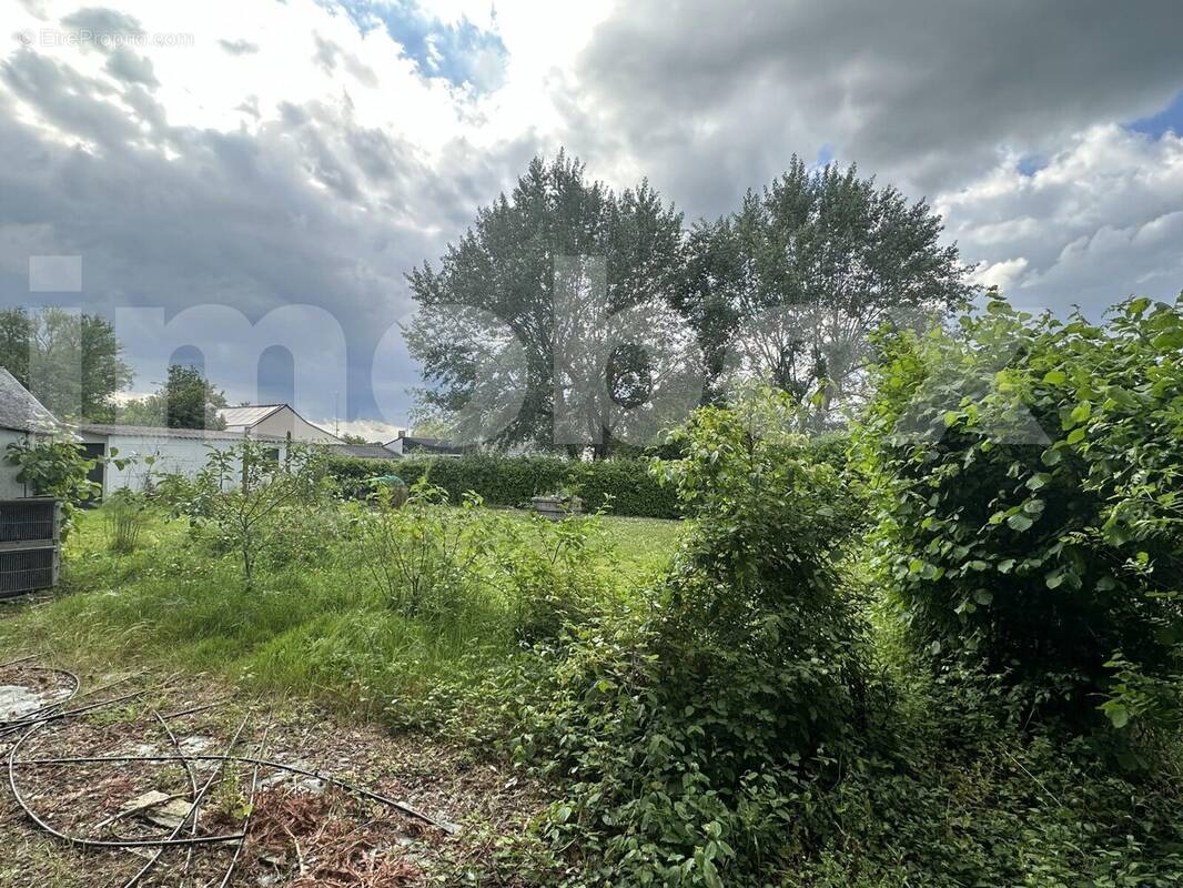 IMG_5598 - Terrain à SAINT-GEREON