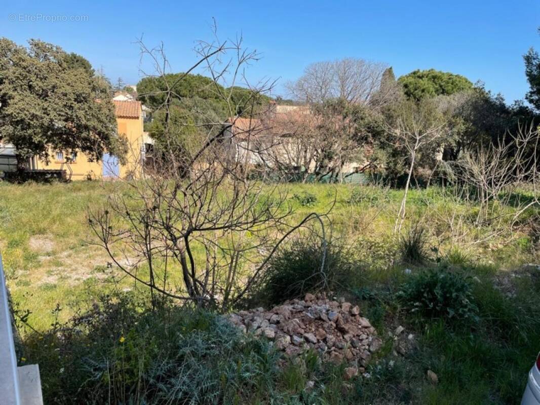 Terrain à FRONTIGNAN