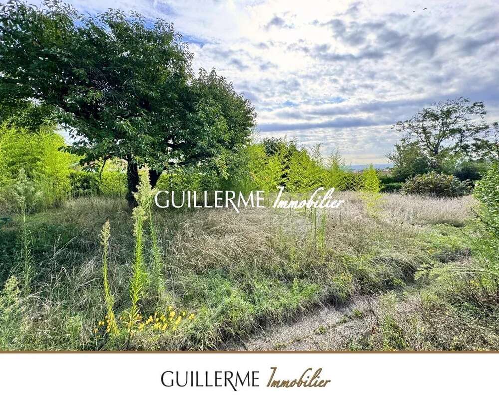 Maison à SAINTE-FOY-LES-LYON