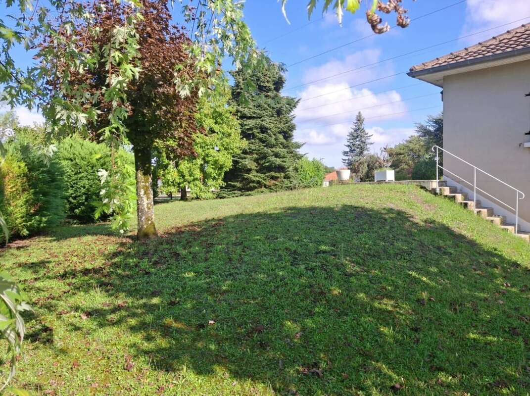 Maison à CHATENOY-LE-ROYAL