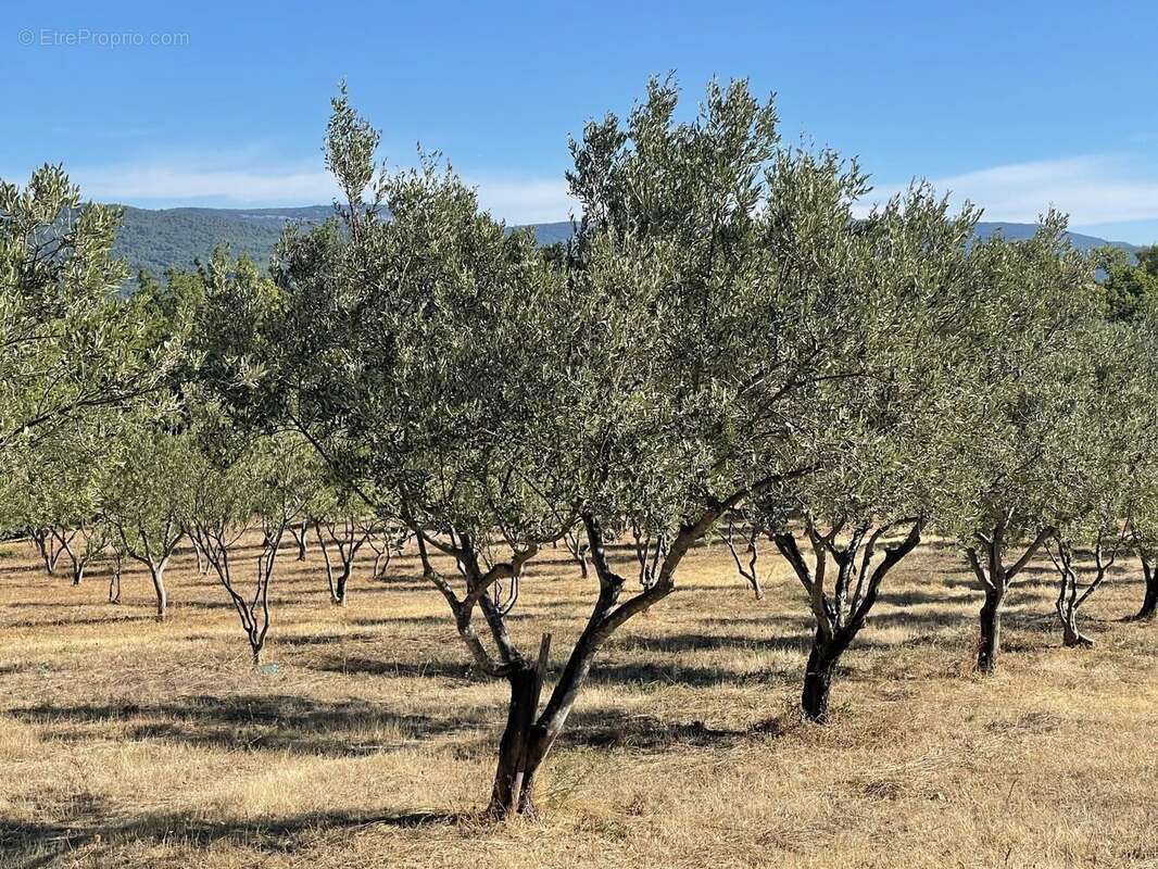 Maison à FIGANIERES