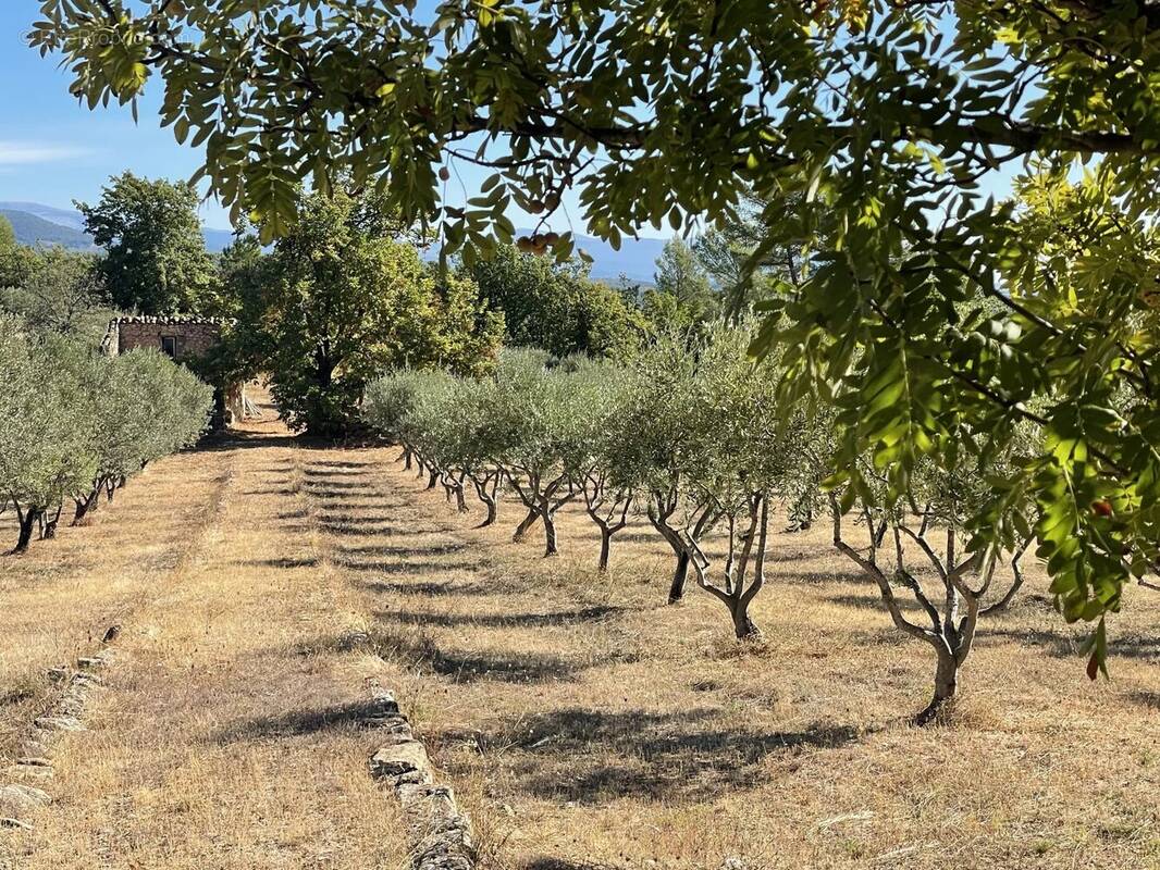 Maison à FIGANIERES