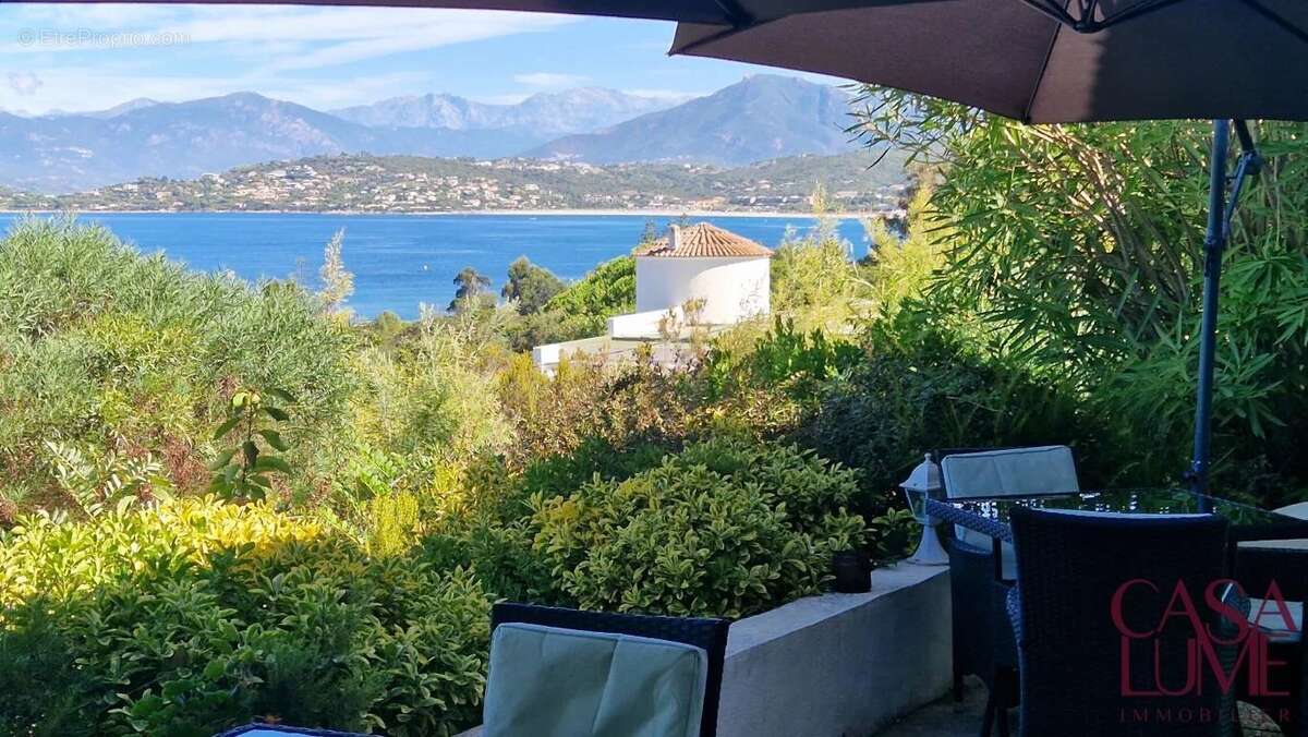 Maison à PIETROSELLA