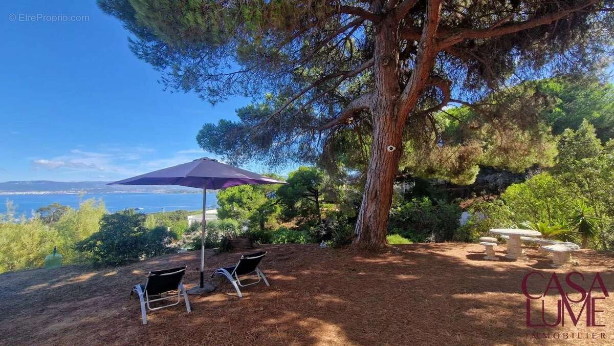 Maison à PIETROSELLA