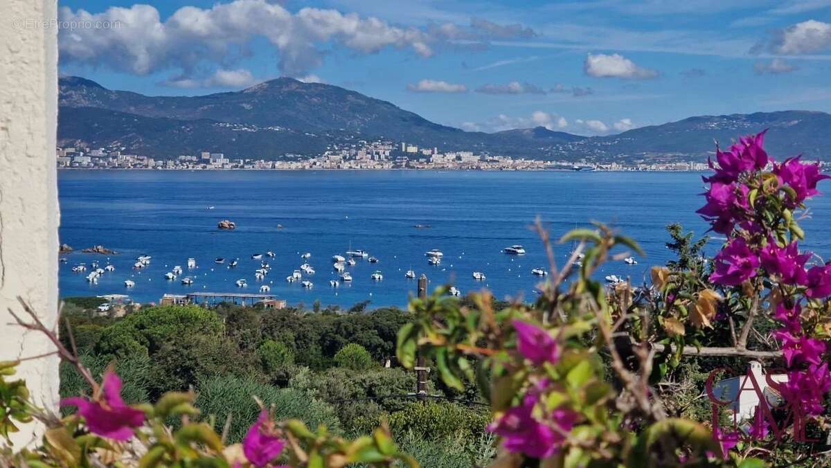 Maison à PIETROSELLA