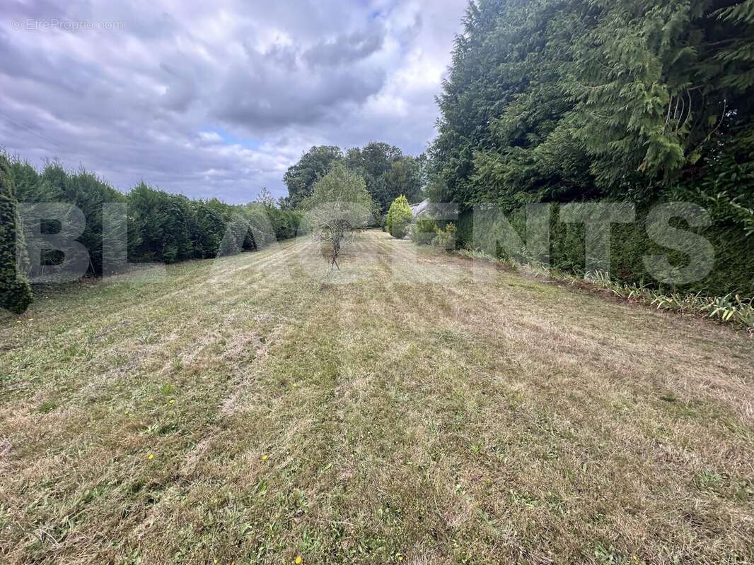 IMG_7583 2 - Appartement à RILHAC-TREIGNAC