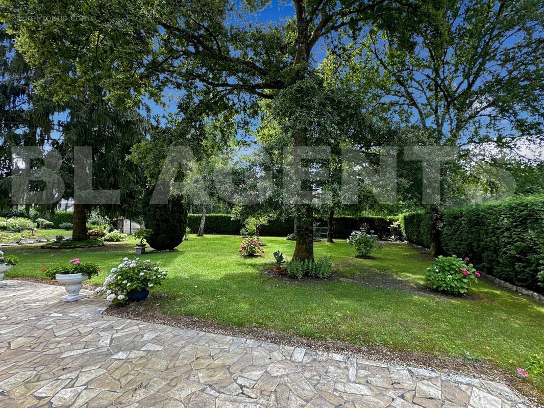 IMG_7885 - Maison à LAIGNE-EN-BELIN